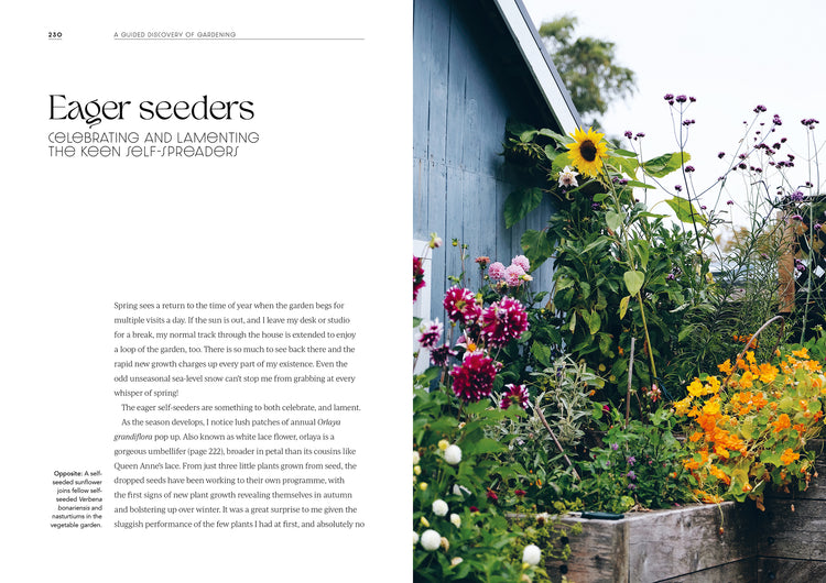 A Guided Discovery of Gardening