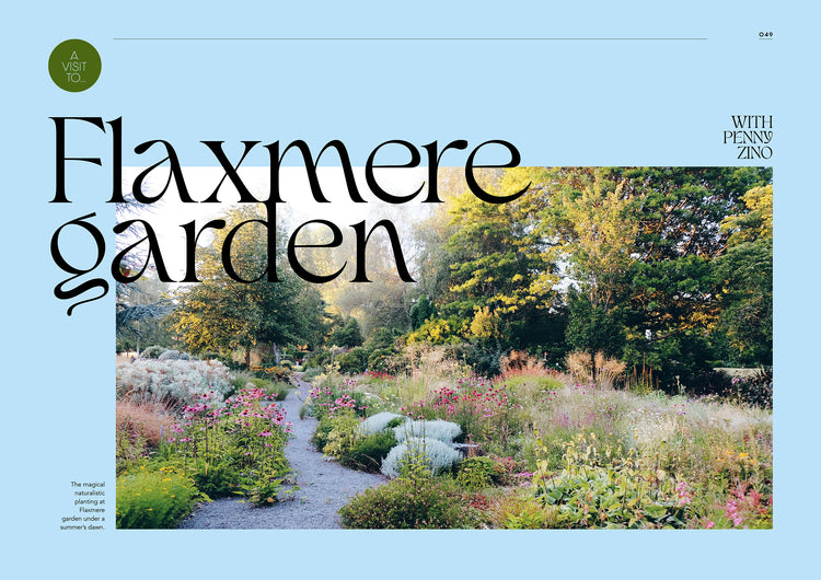 A Guided Discovery of Gardening