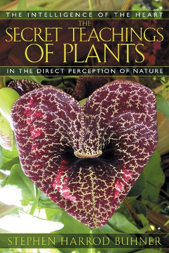 Secret Teachings Of Plants