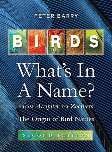 Birds What's in a Name?