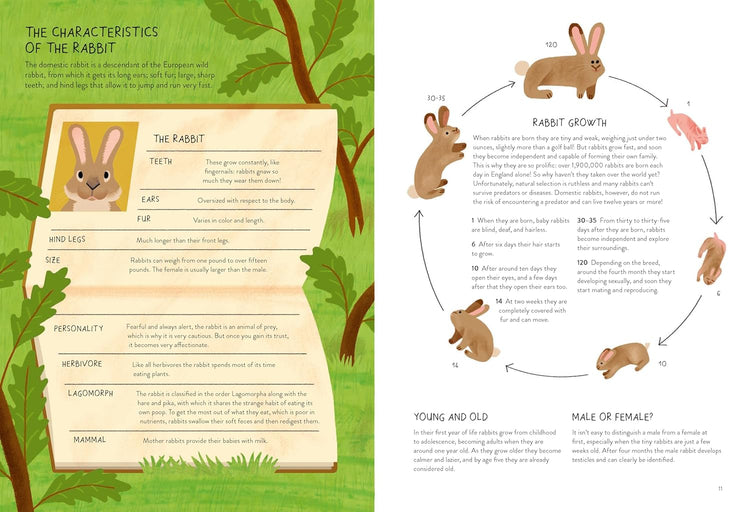 Rabbitology The Ultimate Encyclopedia