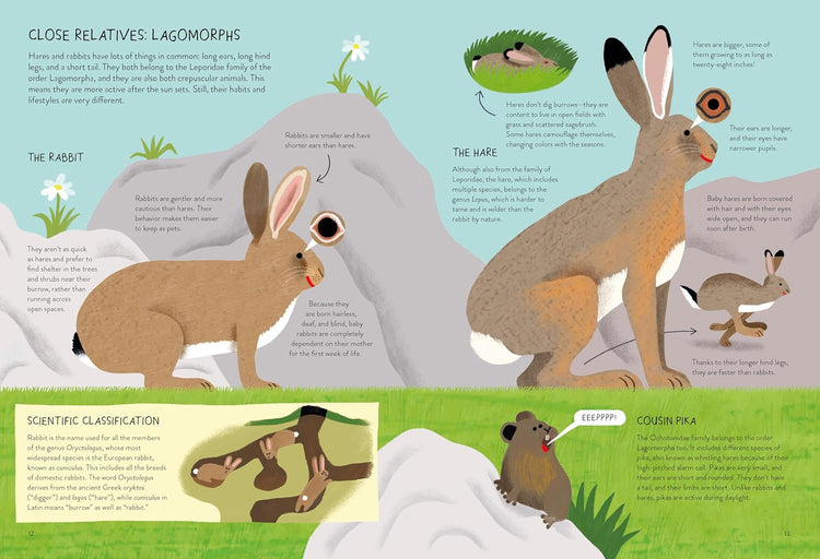 Rabbitology The Ultimate Encyclopedia