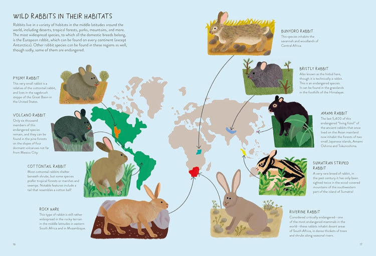 Rabbitology The Ultimate Encyclopedia