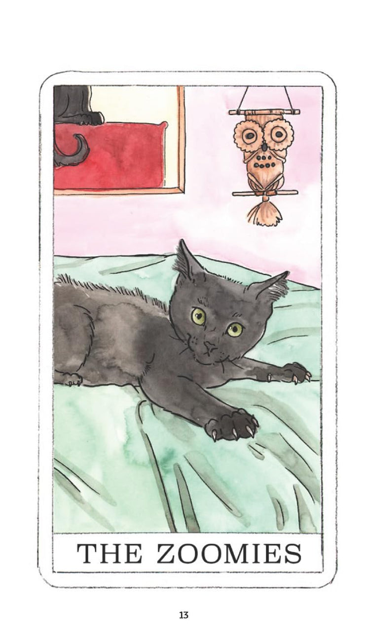 Kitten Oracle