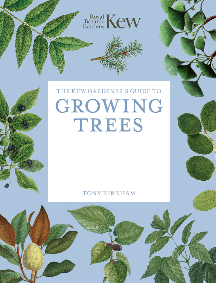 Kew Gardener's Guide to Growing Trees Paperback