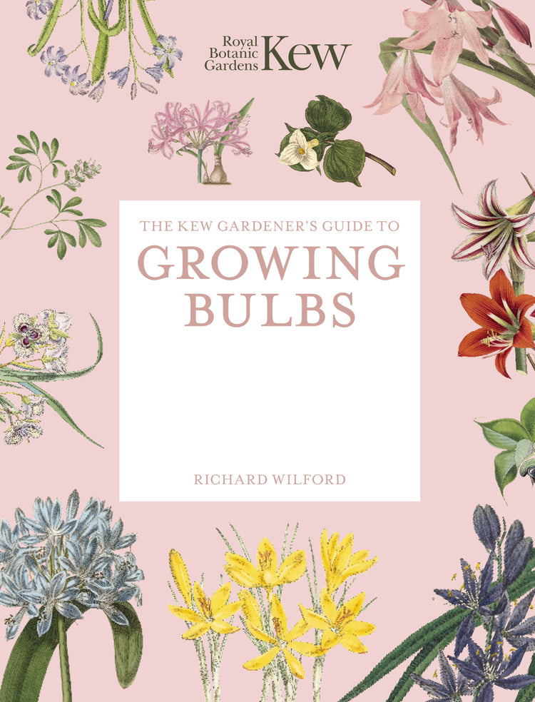 Kew Gardener's Guide to Growing Bulb Paperback