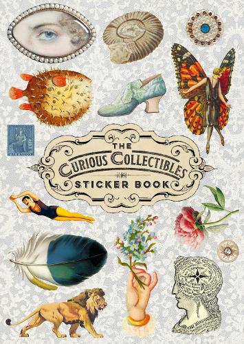 Curious Collections Sticker Book