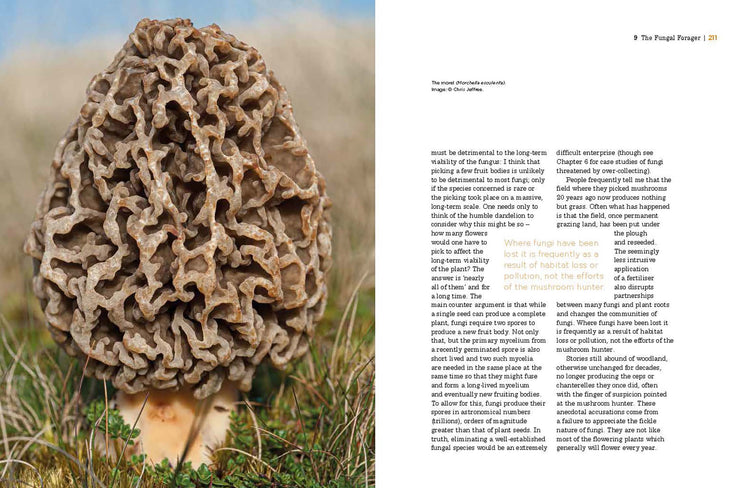 The Fascinating World of Fungi