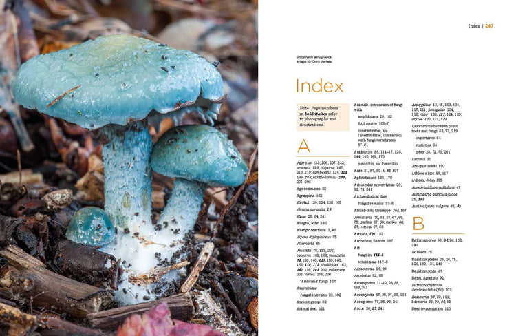 The Fascinating World of Fungi