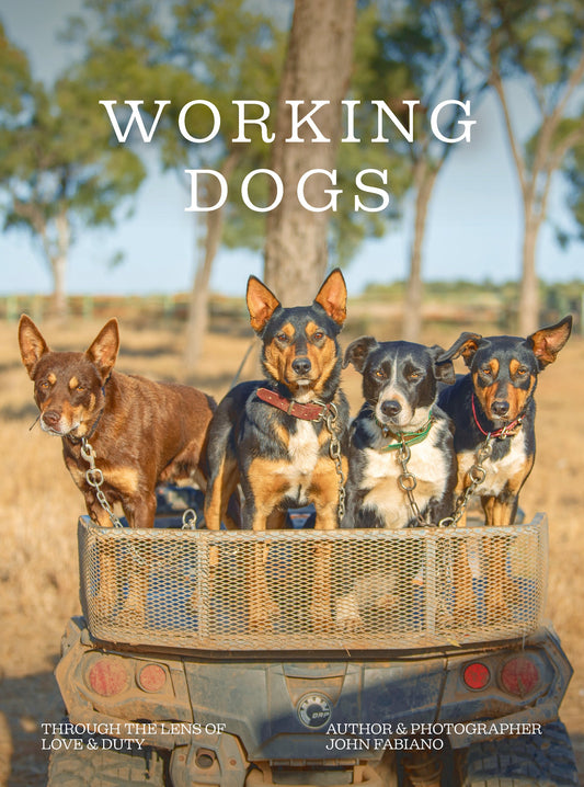 Working Dogs