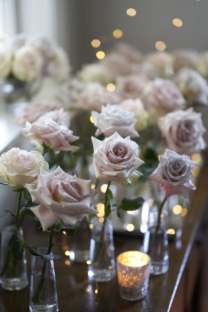 Dreaming in Petals