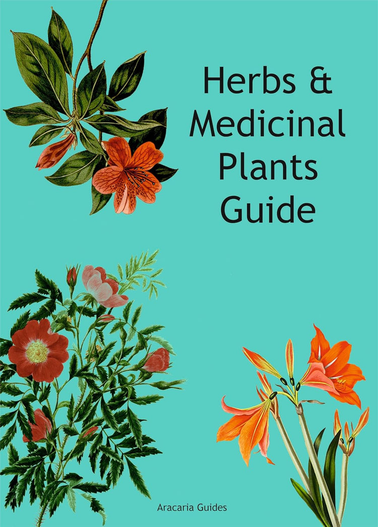 Aracaria Herb & Medicinal Plants Growing Guide