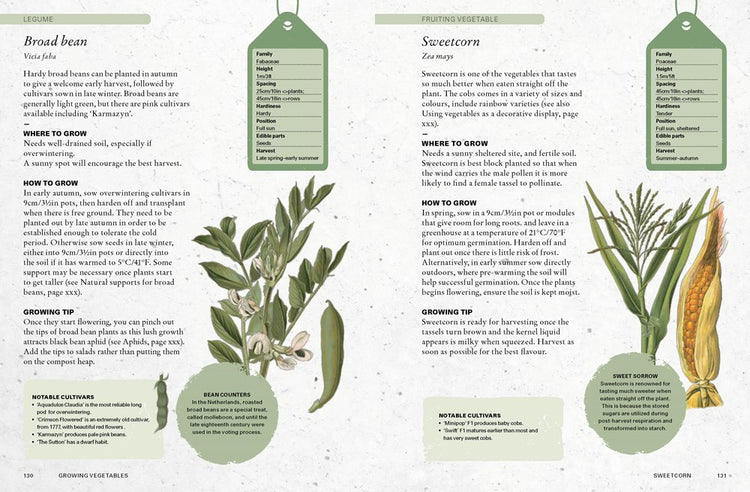 Kew Gardeners Guide to Growing Vegetables