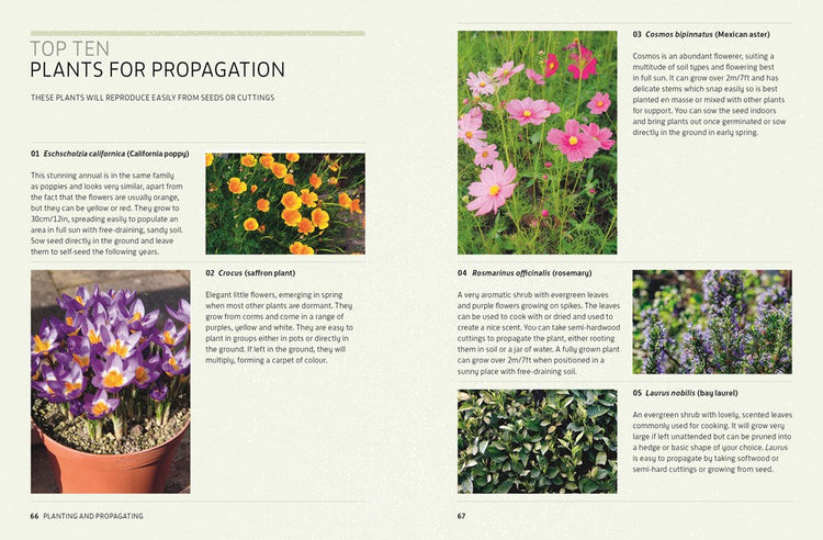 Kew Answers for Everyday Gardeners