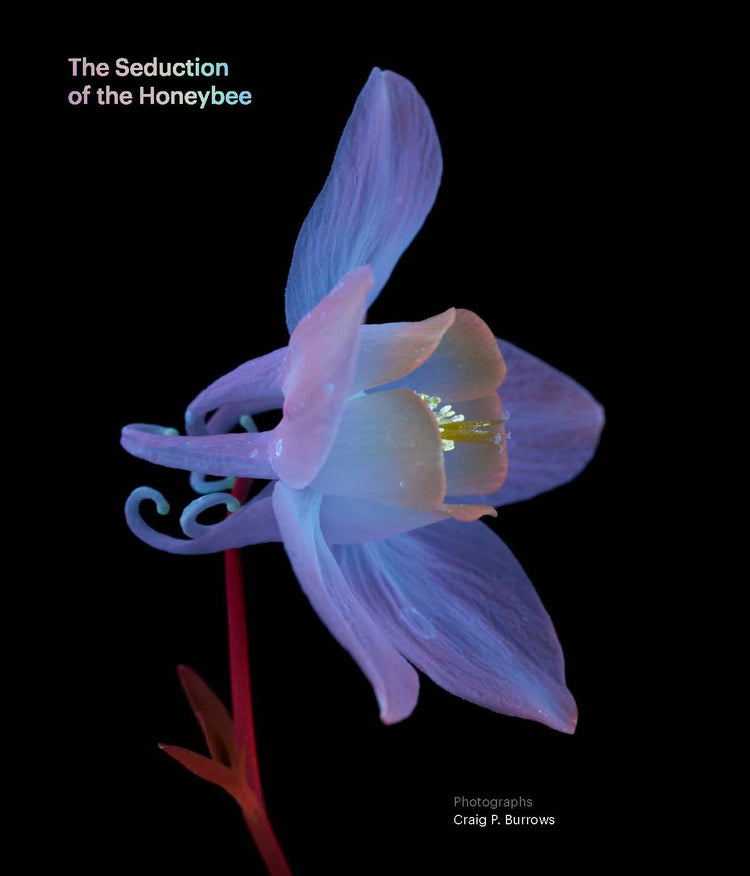 The Seduction of the Honey Bee
