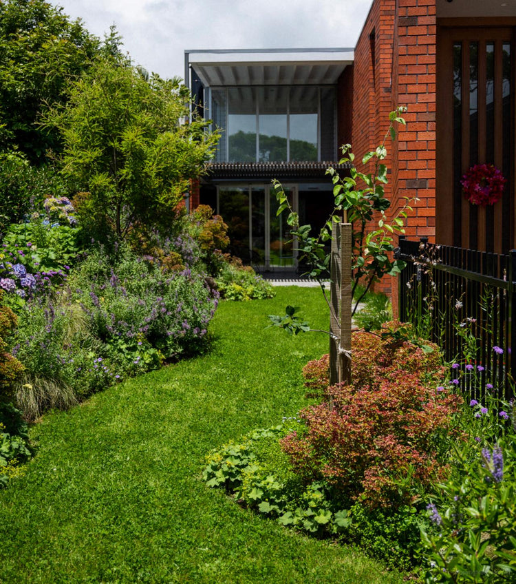 The Natural Garden: Landscape Ideas for New Zealand Gardens