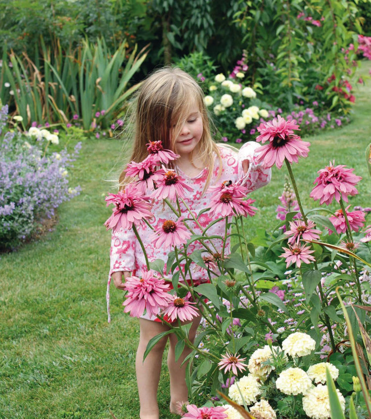 The Natural Garden: Landscape Ideas for New Zealand Gardens