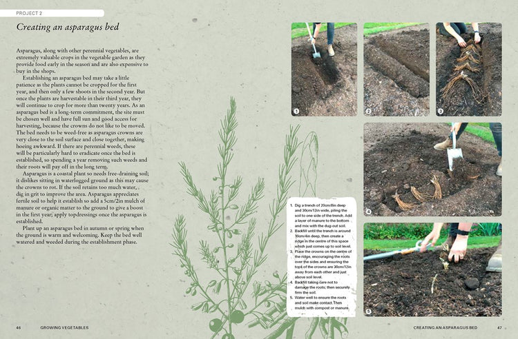 Kew Gardeners Guide to Growing Vegetables