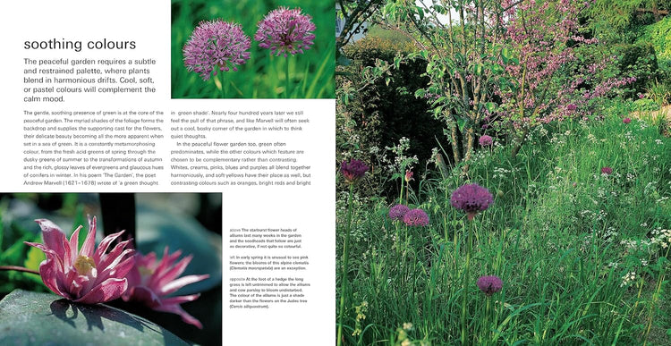 The Mindful Garden