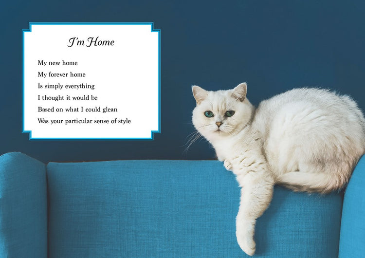 Oh. It's You. Love Poems by Cats