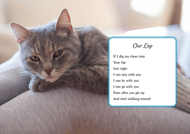 Oh. It's You. Love Poems by Cats