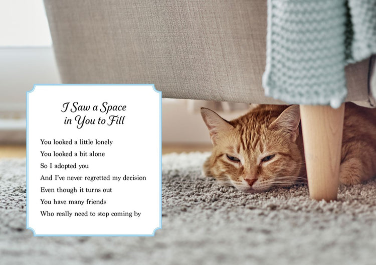 Oh. It's You. Love Poems by Cats