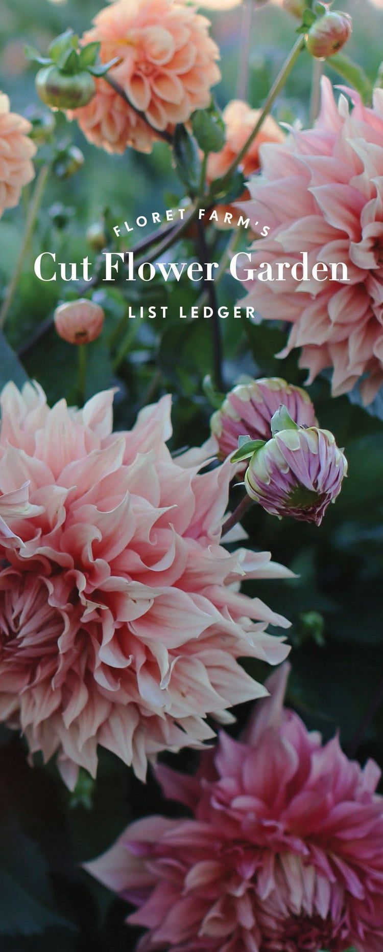 Floret Farm's Cut Flower List Ledger