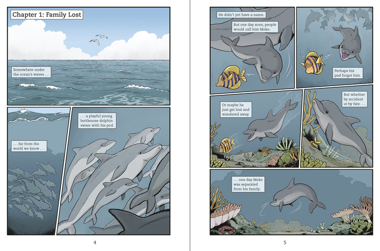 Moko to the Rescue: Heroic Dolphin of New Zealand