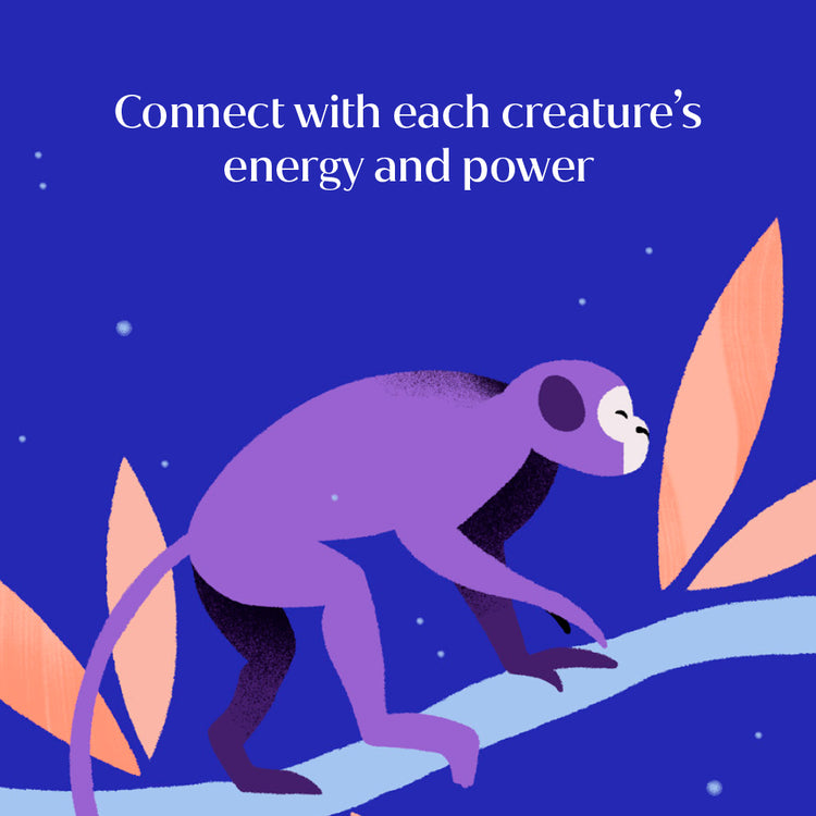 Animal Power Deck