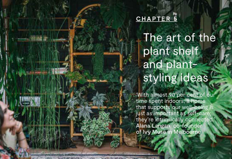 Houseplants and Design