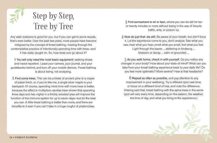 Mindful Walking
