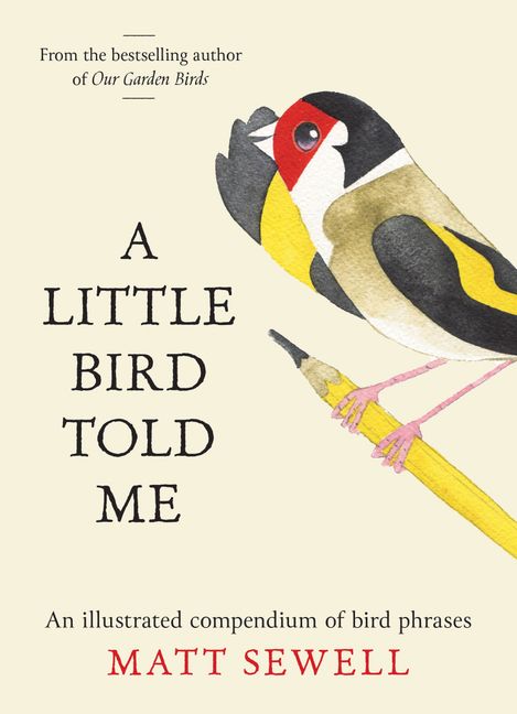 A Little Bird Told Me