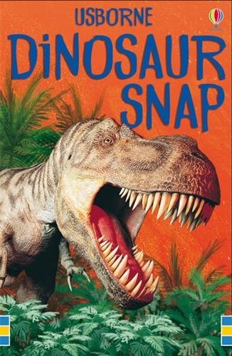 Dinosaur Snap Cards