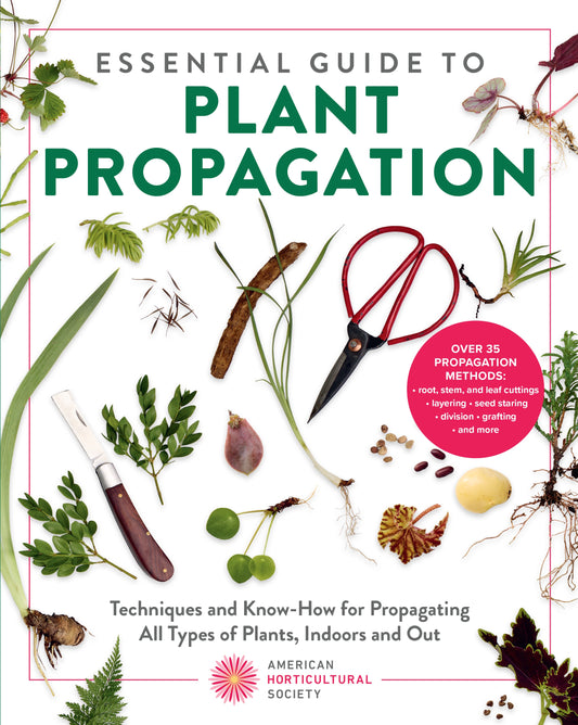 Essential Guide to Plant Propagation
