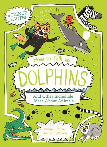 How to Talk to Dolphins