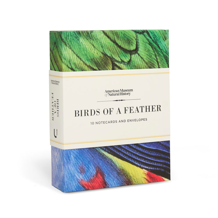 Birds of a Feather 10 NoteBox and Envelopes