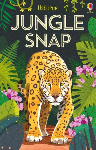 Jungle Snap Cards