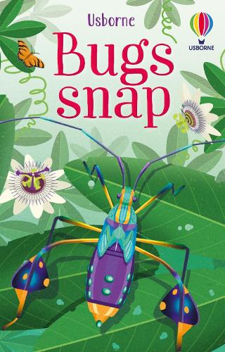 Bugs Snap Cards