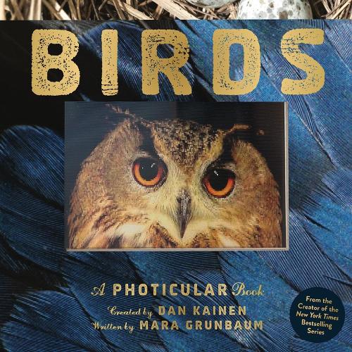 Birds A Photicular Book