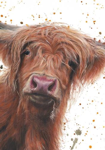 Bree Merryn Highland Cow Lined A5 Notebook