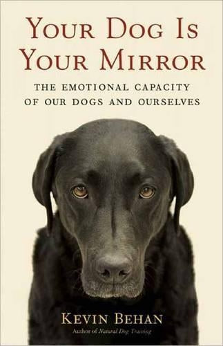 Your Dog Is Your Mirror