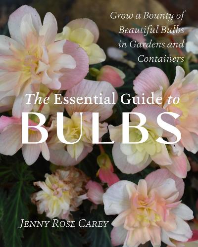 Essential Guide to Bulbs