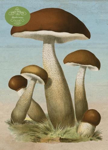 John Derian Mushrooms 1,000-Piece Jigsaw Puzzle