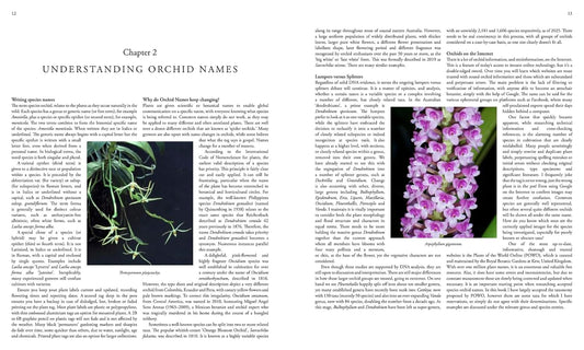 Orchid Species of the World