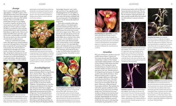 Orchid Species of the World