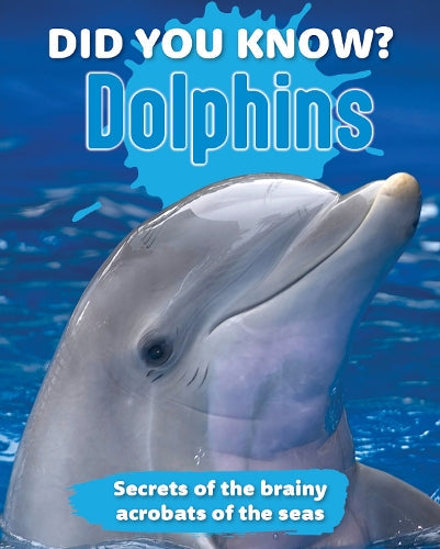 Did You Know? Dolphins