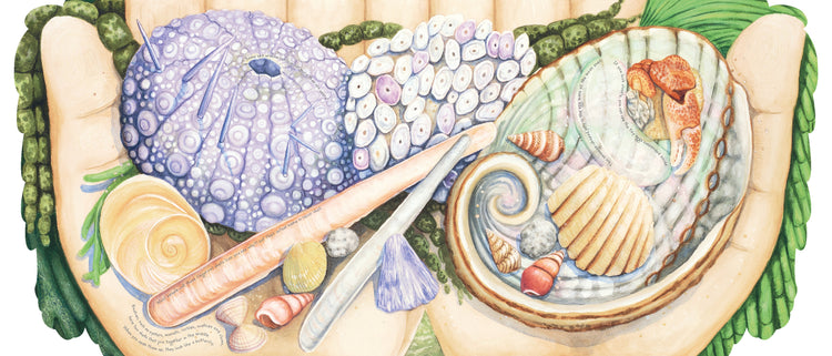 Searching for Treasure