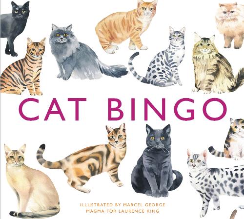 Bingo Cat