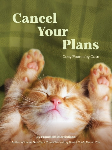 Cancel Your Plans Cozy Poems by Cats