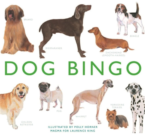 Bingo Dog